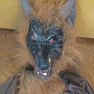 Wolfman Halloween costume Men’s Large